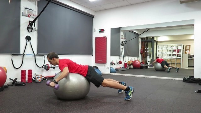 'DUMBBELL BACK FITBALL - WIN FITNESS CLUBS'