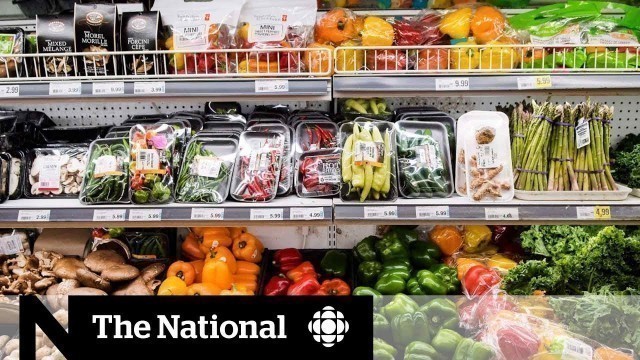 'Health Canada\'s new food guide takes a radical overhaul'