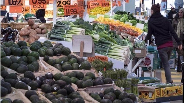 'Canada\'s Food Guide May Be Too Expensive Or Not Enticing Enough For Most Canadians: Report'
