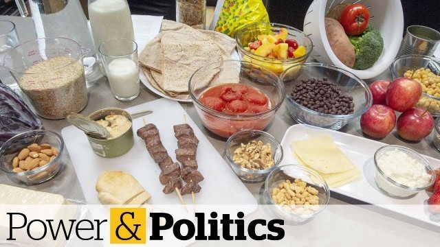 'Scheer slams \'ideologically driven\' Canada Food Guide | Power & Politics'