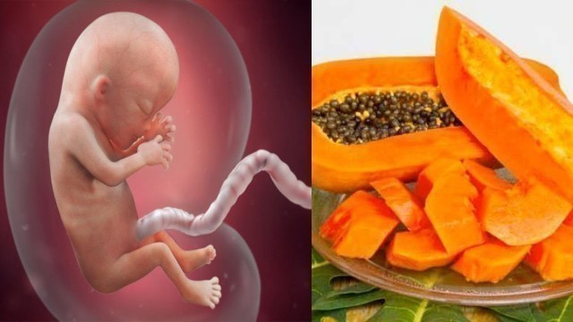 'Miscarriage In Pregnancy, 8 foods that Surely Cause Miscarriage in Early Pregnancy'