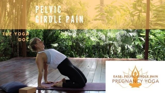 'EASE: 30 minute pregnancy yoga | Pelvic Girdle Pain | The Yoga Doc'