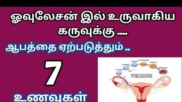 'Foods that causes early miscarriage after ovulation in tamil|Foods should be avoided after ovulation'