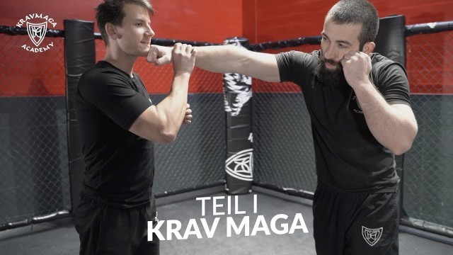 'Krav Maga Techniken (Teil 1) ✘ Löwen-Fitness Braunschweig'