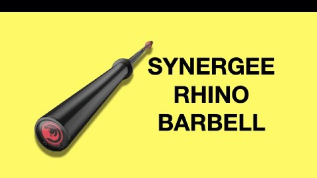 'Synergee Fitness Rhino Powerlifting Barbell Review'
