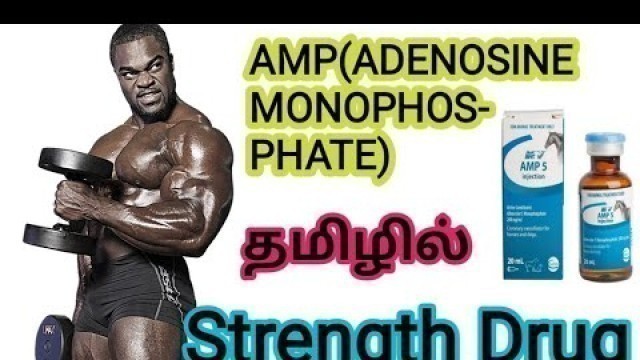 'AMP (Adenosine monophosphate) in Tamil ||  side effects  || Tamil Fitness Channel ||'