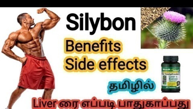'Silybon liver tablet in Tamil || Side effects || Milk thistle supplement || Tamil Fitness Channel ||'
