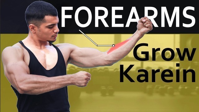 'Best Forearm Workout By Yash Sharma'