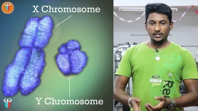 'chromosome அப்டின என்ன ?.. chromosome என்ன வேலை செய்யும்னு தெரியுமா ?...Tamil | Fitness Garage'