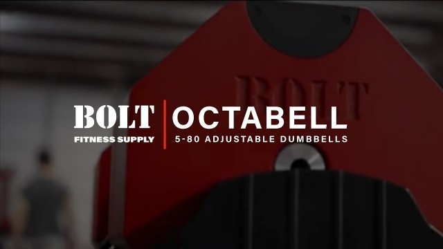 'Bolt Fitness Supply | Octabell'