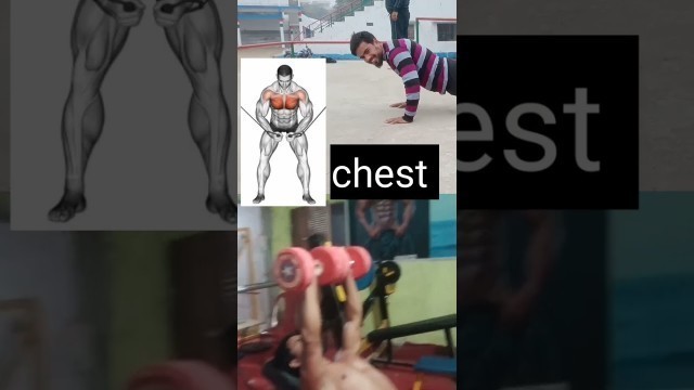 'chest workout  morning