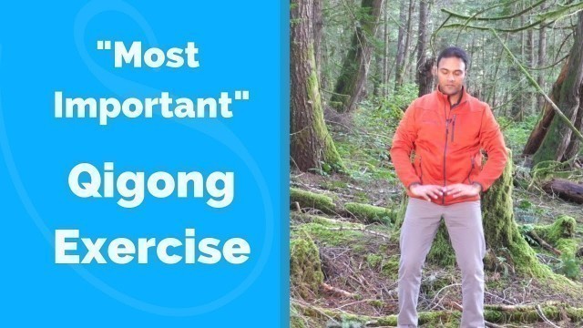 '\"Most Important\" Qigong Exercise for Beginners'