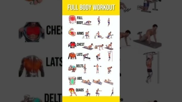 'FULL BODY WORKOUT AT ANYWHERE \" #chest #arms #fullbodyworkout #delts #abs #thighs #shorts'