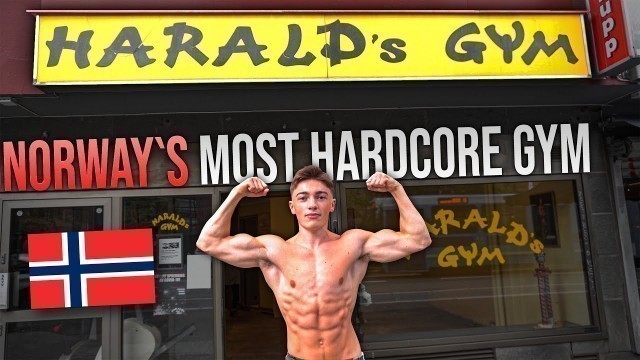 'I TRAINED AT NORWAY`S MOST HARDCORE GYM'