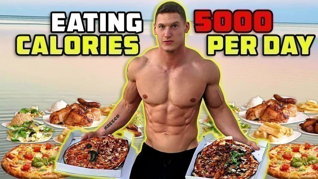'MattDoesFitness On Staying \"Shredded\" While Eating 5000 Calories Per Day'