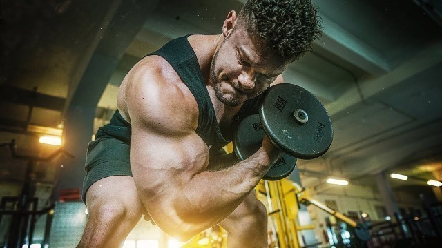 'HARDCORE Arm Workout for FULLNESS! Hardcore Gym in Vienna'