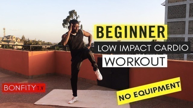 'Beginner low Impact Cardio Workout| No Equipment | BonfityTv |Healthy Living'
