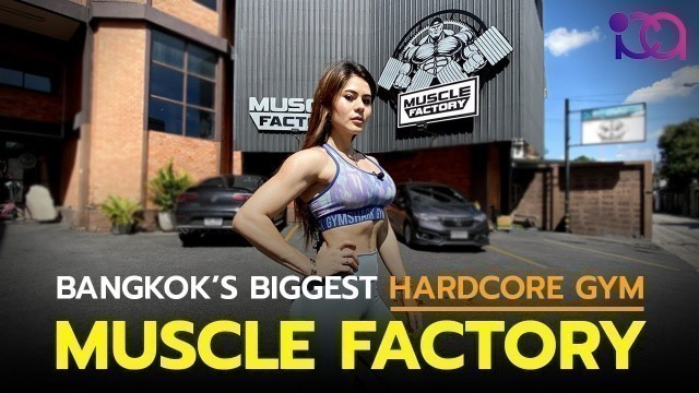 'Muscle Factory มัสเซิล แฟคทอรี่  [Largest Hardcore GYM in Thailand]'