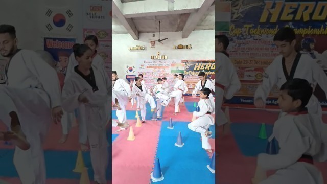 'Taekwondo training #fighter #taekwondo #action#trending #viral #stunt #follow #haryanafiles #fitness'
