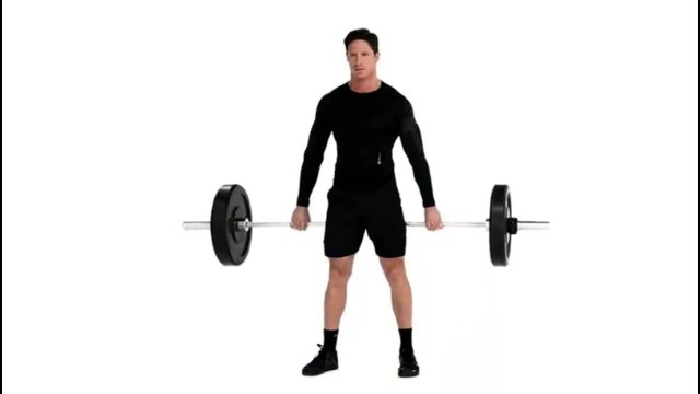'Barbell Hack Squat Exercise'