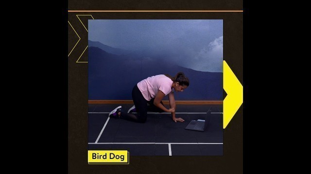 'How To Do The Bird Dog | Cult Fit | Cure Fit #Shorts'