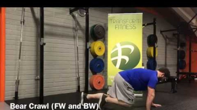 'Transform Fitness - TFL and TFL+ Exercise:  Bear Crawl FW and BW'