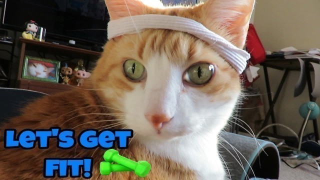 'Cat Is Ready To Workout | Featuring Richard Simmons'