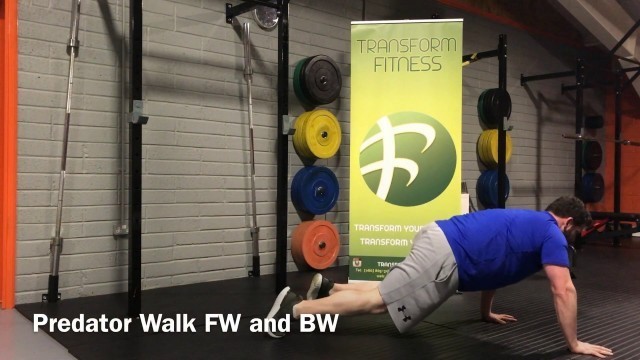 'Transform Fitness - TFL and TFL+ Exercise:  Predator Walk FW and BW'