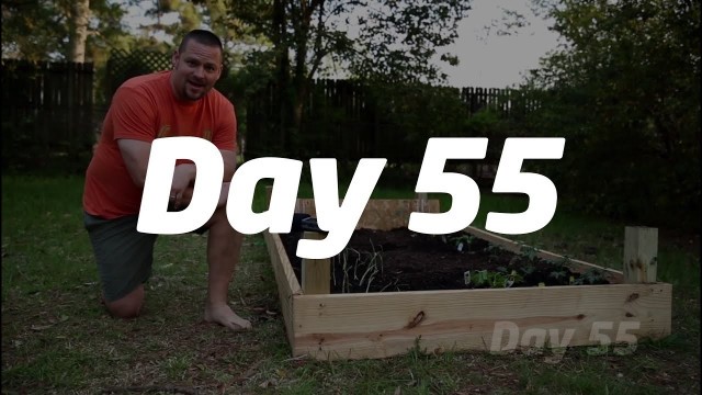 'Day 55 - David\'s Mission To Live Fit With a RivalHealth Fitness Plan'
