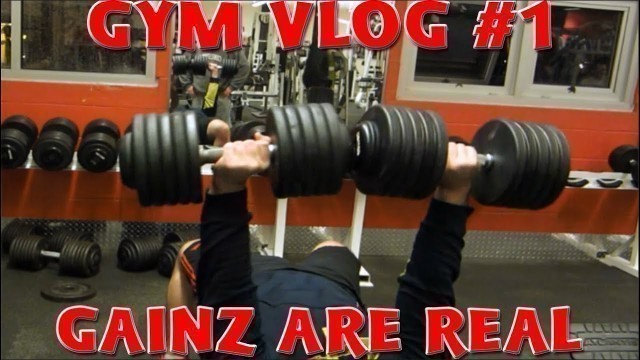 'Gym Vlog #1 - The Gainz Are Being Gained'