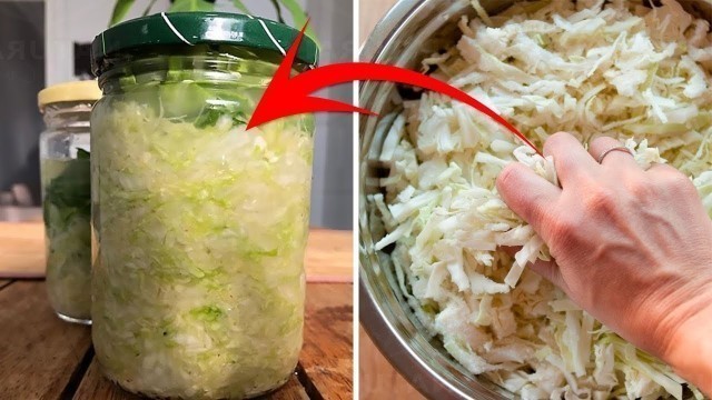 'Health benefits of home made fermented cabbage Sauerkraut -- Fitness and Nutrition Guide'
