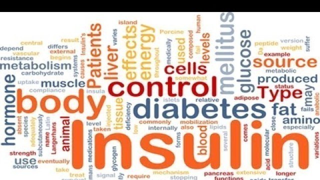 'L\'impact de l\'insuline en musculation'