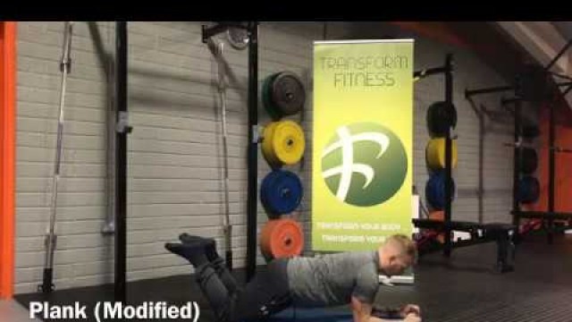'Transform Fitness - TFL and TFL+ Exercise:  Plank Variations'