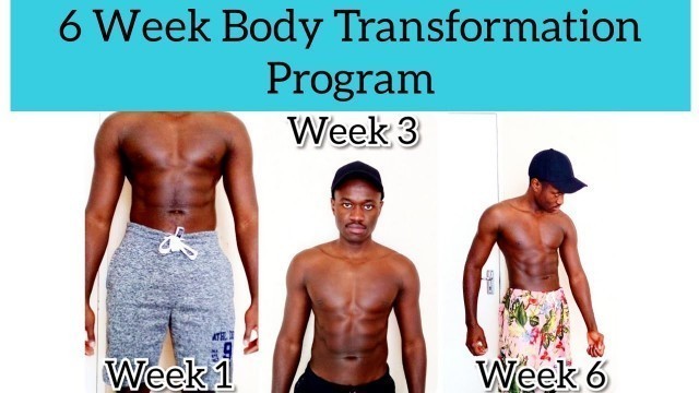'BEAST GAINZ 6 Week Body Transformation Program - Lose fat, Get fit and live a healthy life'