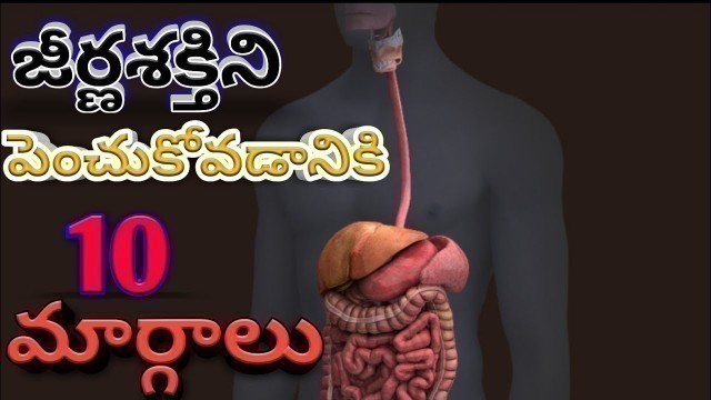 '10 Healthy Tips to Improve your Digestive System in Telugu | Venkat Talks | Health Tips |'