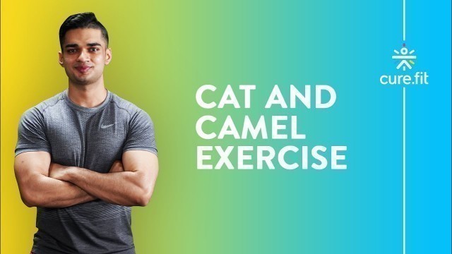 'How To Do Cat And Camel Exercise by Cult Fit | Back Stretches | Yoga Pose | Cult Fit | CureFit'
