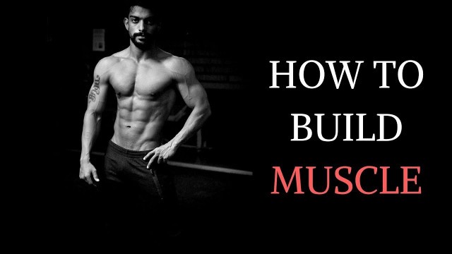'How to build muscle'