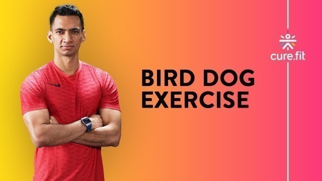 'How to do the Bird Dog Exercise by Cult Fit | Bird Dog Exercise | Ab Workout | Cult Fit | Cure Fit'