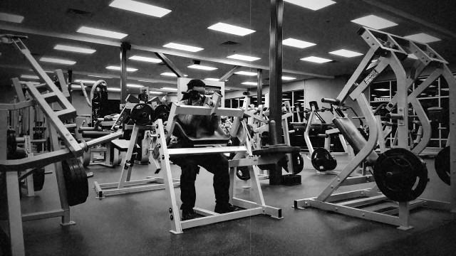 'Gainz Workout for the gym Ctfletcher'