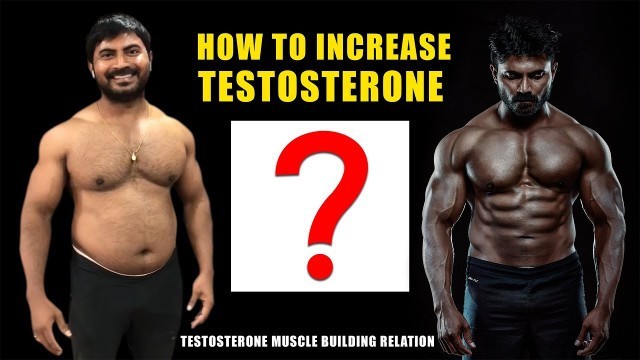 'What is Testosterone (Testosterone booster) | How to Increase Testosterone In Telugu -Venkat Fitness'