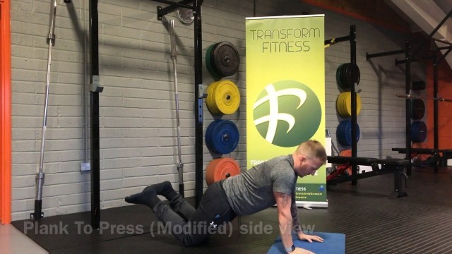 'Transform Fitness - TFL and TFL+ Exercise: Plank To Press Variations'