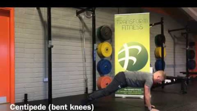 'Transform Fitness - TFL and TFL+ Exercise: Centipedes Variations'