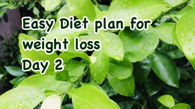 'Easy Diet plan for weight loss |Day 2 |Ayesha Zohaib Fitness Diaries'