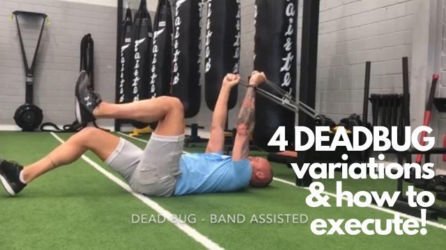 '4 DEAD BUG VARIATIONS / SET UP & EXECUTION - TOP 10 CORE EXERCISERS'