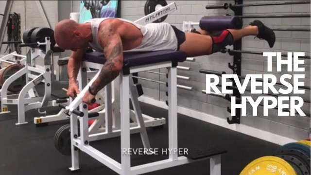 'THE REVERSE HYPER - NO MORE BACK PAIN! BUILD BIG GLUTES!'