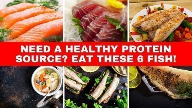 'Need Healthy Protein Sources | Choosing Healthy Protein | Max Fitness Today'